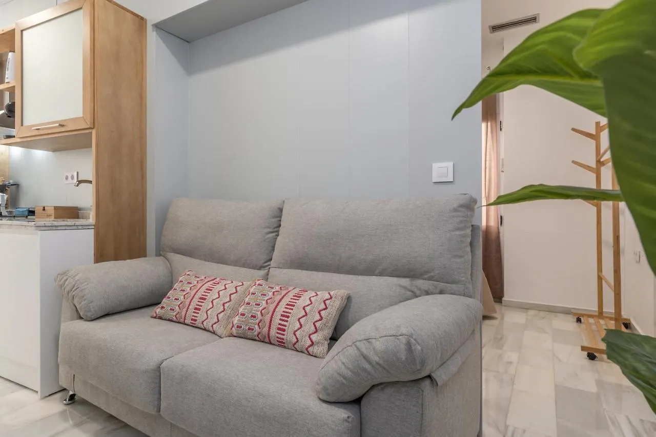 Tuguest Carcel Baja Apartment Granada Spagna
