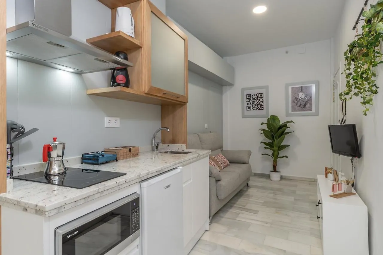 Tuguest Carcel Baja Apartment Granada Spain