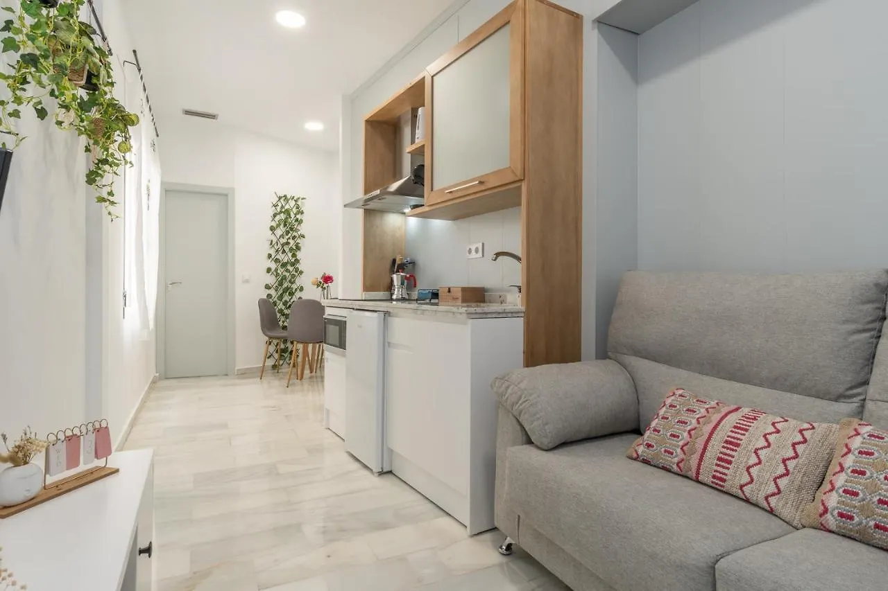 Tuguest Carcel Baja Apartment Granada